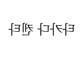 KPOP JBJ95(JBJ95、ジェイビージェークオ) 타카다 켄타 (タカダケンタ) 応援ボード・うちわ　韓国語/ハングル文字型紙 左右反転