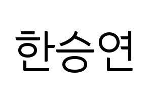 KPOP KARA(카라、カラ) 한승연 (ハン・スンヨン) コンサート用　応援ボード・うちわ　韓国語/ハングル文字型紙 通常