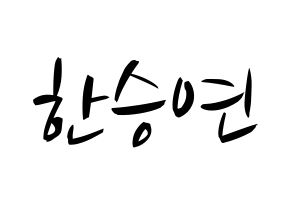 KPOP KARA(카라、カラ) 한승연 (ハン・スンヨン) k-pop 応援ボード メッセージ 型紙 通常