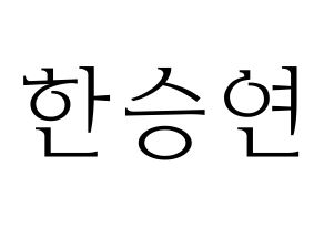 KPOP KARA(카라、カラ) 한승연 (ハン・スンヨン) 応援ボード・うちわ　韓国語/ハングル文字型紙 通常
