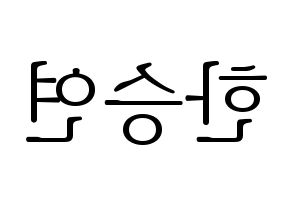 KPOP KARA(카라、カラ) 한승연 (ハン・スンヨン) 応援ボード・うちわ　韓国語/ハングル文字型紙 左右反転