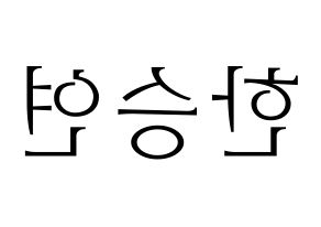 KPOP KARA(카라、カラ) 한승연 (ハン・スンヨン) 応援ボード・うちわ　韓国語/ハングル文字型紙 左右反転