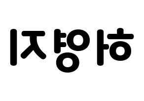 KPOP KARA(카라、カラ) 허영지 (ホ・ヨンジ) 応援ボード・うちわ　韓国語/ハングル文字型紙 左右反転