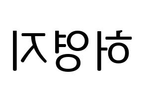 KPOP KARA(카라、カラ) 허영지 (ホ・ヨンジ) プリント用応援ボード型紙、うちわ型紙　韓国語/ハングル文字型紙 左右反転