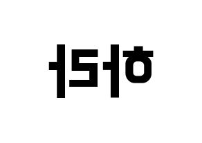 KPOP KARA(카라、カラ) 구하라 (ク・ハラ) k-pop アイドル名前 ファンサボード 型紙 左右反転