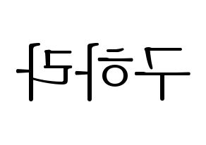 KPOP KARA(카라、カラ) 구하라 (ク・ハラ) 応援ボード・うちわ　韓国語/ハングル文字型紙 左右反転
