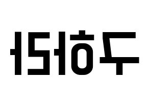 KPOP KARA(카라、カラ) 구하라 (ク・ハラ) 名前 応援ボード 作り方 左右反転