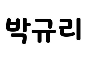 KPOP KARA(카라、カラ) 박규리 (パク・ギュリ) 応援ボード・うちわ　韓国語/ハングル文字型紙 通常