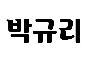 KPOP KARA(카라、カラ) 박규리 (パク・ギュリ) コンサート用　応援ボード・うちわ　韓国語/ハングル文字型紙 通常