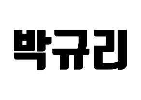 KPOP KARA(카라、カラ) 박규리 (パク・ギュリ) コンサート用　応援ボード・うちわ　韓国語/ハングル文字型紙 通常