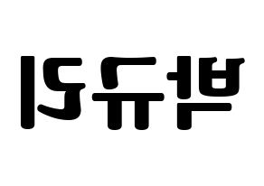 KPOP KARA(카라、カラ) 박규리 (パク・ギュリ) コンサート用　応援ボード・うちわ　韓国語/ハングル文字型紙 左右反転