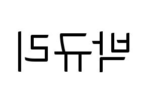 KPOP KARA(카라、カラ) 박규리 (パク・ギュリ) コンサート用　応援ボード・うちわ　韓国語/ハングル文字型紙 左右反転