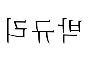 KPOP KARA(카라、カラ) 박규리 (パク・ギュリ) 応援ボード・うちわ　韓国語/ハングル文字型紙 左右反転