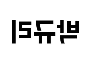 KPOP KARA(카라、カラ) 박규리 (パク・ギュリ) k-pop アイドル名前 ファンサボード 型紙 左右反転