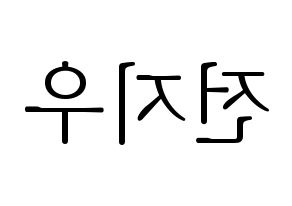 KPOP KARD(카드、カード) 전지우 (チョン・ジウ) 応援ボード・うちわ　韓国語/ハングル文字型紙 左右反転