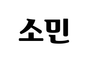 KPOP KARD(카드、カード) 전소민 (チョン・ソミン) コンサート用　応援ボード・うちわ　韓国語/ハングル文字型紙 通常