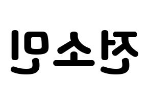 KPOP KARD(카드、カード) 전소민 (チョン・ソミン) 応援ボード・うちわ　韓国語/ハングル文字型紙 左右反転