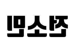 KPOP KARD(카드、カード) 전소민 (チョン・ソミン) コンサート用　応援ボード・うちわ　韓国語/ハングル文字型紙 左右反転