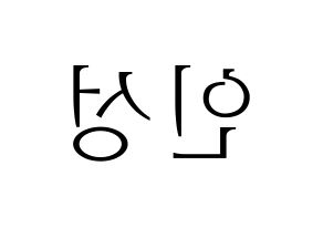 KPOP KNK(크나큰、クナクン) 정인성 (インソン) 応援ボード・うちわ　韓国語/ハングル文字型紙 左右反転