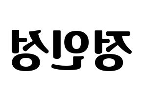 KPOP KNK(크나큰、クナクン) 정인성 (インソン) コンサート用　応援ボード・うちわ　韓国語/ハングル文字型紙 左右反転