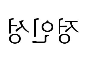 KPOP KNK(크나큰、クナクン) 정인성 (インソン) 応援ボード・うちわ　韓国語/ハングル文字型紙 左右反転