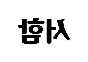 KPOP KNK(크나큰、クナクン) 박서함 (ソハム) コンサート用　応援ボード・うちわ　韓国語/ハングル文字型紙 左右反転