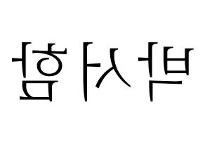 KPOP KNK(크나큰、クナクン) 박서함 (ソハム) 応援ボード・うちわ　韓国語/ハングル文字型紙 左右反転