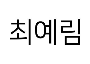 KPOP LOONA(이달의 소녀、今月の少女) 최리 (チェリ) プリント用応援ボード型紙、うちわ型紙　韓国語/ハングル文字型紙 通常
