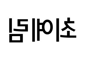 KPOP LOONA(이달의 소녀、今月の少女) 최리 (チェ・イェリム, チェリ) 無料サイン会用、イベント会用応援ボード型紙 左右反転