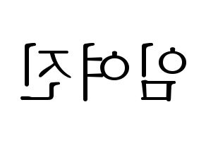 KPOP LOONA(이달의 소녀、今月の少女) 여진 (ヨジン) 応援ボード・うちわ　韓国語/ハングル文字型紙 左右反転