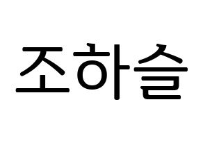 KPOP LOONA(이달의 소녀、今月の少女) 하슬 (ハスル) プリント用応援ボード型紙、うちわ型紙　韓国語/ハングル文字型紙 通常