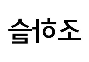 KPOP LOONA(이달의 소녀、今月の少女) 하슬 (チョ・ハスル, ハスル) 無料サイン会用、イベント会用応援ボード型紙 左右反転