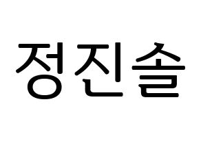 KPOP LOONA(이달의 소녀、今月の少女) 진솔 (ジンソル) プリント用応援ボード型紙、うちわ型紙　韓国語/ハングル文字型紙 通常