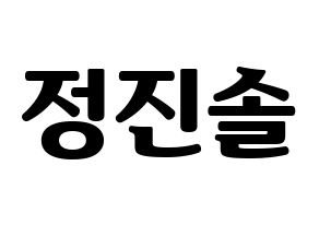 KPOP LOONA(이달의 소녀、今月の少女) 진솔 (ジンソル) コンサート用　応援ボード・うちわ　韓国語/ハングル文字型紙 通常