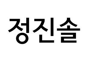 KPOP LOONA(이달의 소녀、今月の少女) 진솔 (チョン・ジンソル, ジンソル) 無料サイン会用、イベント会用応援ボード型紙 通常