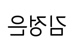 KPOP LOONA(이달의 소녀、今月の少女) 김립 (キムリプ) コンサート用　応援ボード・うちわ　韓国語/ハングル文字型紙 左右反転