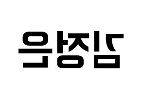 KPOP LOONA(이달의 소녀、今月の少女) 김립 (キムリプ) k-pop アイドル名前 ファンサボード 型紙 左右反転