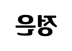 KPOP LOONA(이달의 소녀、今月の少女) 김립 (キムリプ) コンサート用　応援ボード・うちわ　韓国語/ハングル文字型紙 左右反転