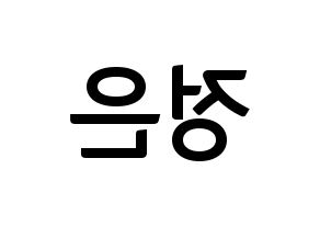 KPOP LOONA(이달의 소녀、今月の少女) 김립 (キムリプ) k-pop アイドル名前 ファンサボード 型紙 左右反転