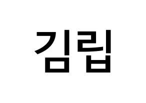 KPOP LOONA(이달의 소녀、今月の少女) 김립 (キム・ジョンウン, キムリプ) 無料サイン会用、イベント会用応援ボード型紙 通常