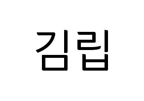 KPOP LOONA(이달의 소녀、今月の少女) 김립 (キムリプ) コンサート用　応援ボード・うちわ　韓国語/ハングル文字型紙 通常