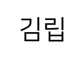 KPOP LOONA(이달의 소녀、今月の少女) 김립 (キムリプ) プリント用応援ボード型紙、うちわ型紙　韓国語/ハングル文字型紙 通常