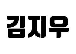 KPOP LOONA(이달의 소녀、今月の少女) 츄 (チュウ) コンサート用　応援ボード・うちわ　韓国語/ハングル文字型紙 通常