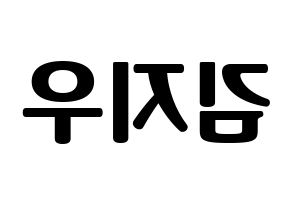 KPOP LOONA(이달의 소녀、今月の少女) 츄 (チュウ) コンサート用　応援ボード・うちわ　韓国語/ハングル文字型紙 左右反転