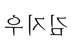 KPOP LOONA(이달의 소녀、今月の少女) 츄 (チュウ) 応援ボード・うちわ　韓国語/ハングル文字型紙 左右反転
