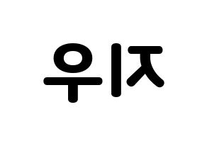 KPOP LOONA(이달의 소녀、今月の少女) 츄 (チュウ) 応援ボード・うちわ　韓国語/ハングル文字型紙 左右反転