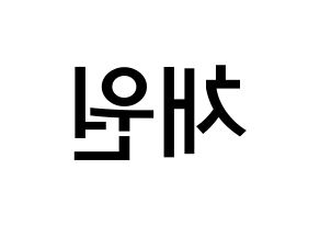 KPOP LOONA(이달의 소녀、今月の少女) 고원 (パク・チェウォン, コウォン) 無料サイン会用、イベント会用応援ボード型紙 左右反転