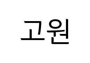 KPOP LOONA(이달의 소녀、今月の少女) 고원 (コウォン) コンサート用　応援ボード・うちわ　韓国語/ハングル文字型紙 通常