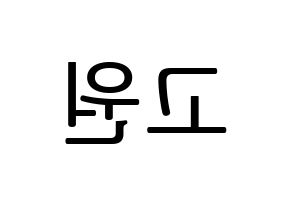 KPOP LOONA(이달의 소녀、今月の少女) 고원 (コウォン) プリント用応援ボード型紙、うちわ型紙　韓国語/ハングル文字型紙 左右反転