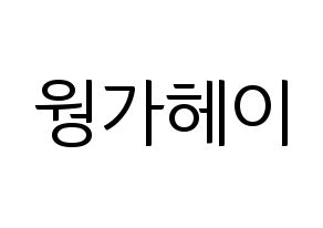 KPOP LOONA(이달의 소녀、今月の少女) 비비 (ビビ) コンサート用　応援ボード・うちわ　韓国語/ハングル文字型紙 通常